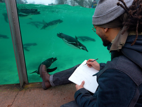 Lee Putman drawing penguins at London Zoo