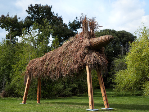 Assemble RA, Fibredog Assemble RA, Fibredog