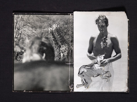 Collage made by Peter Beard, mailed to Bacon in the 1970s