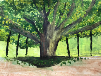 Nancy, Age 9, Robin Hood's Oak Tree