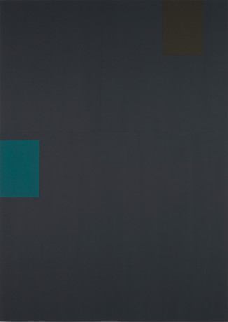 John Robertson, Diamond and Wild Board