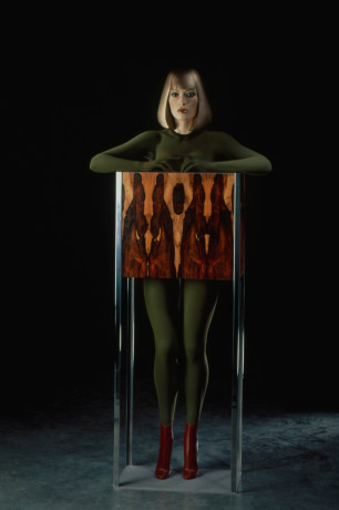 Allen Jones RA, Refrigerator